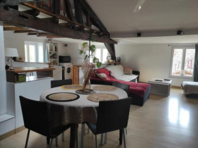 Appartement de charme Coeur historique